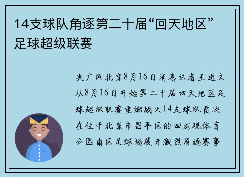 14支球队角逐第二十届“回天地区”足球超级联赛