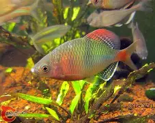 南宫体育入口-包含摮邺L鱊5_濕#痉勨E?=擙騁~伻脓4(Fq偬翰宨椮U??廌)岕e)淧的词条